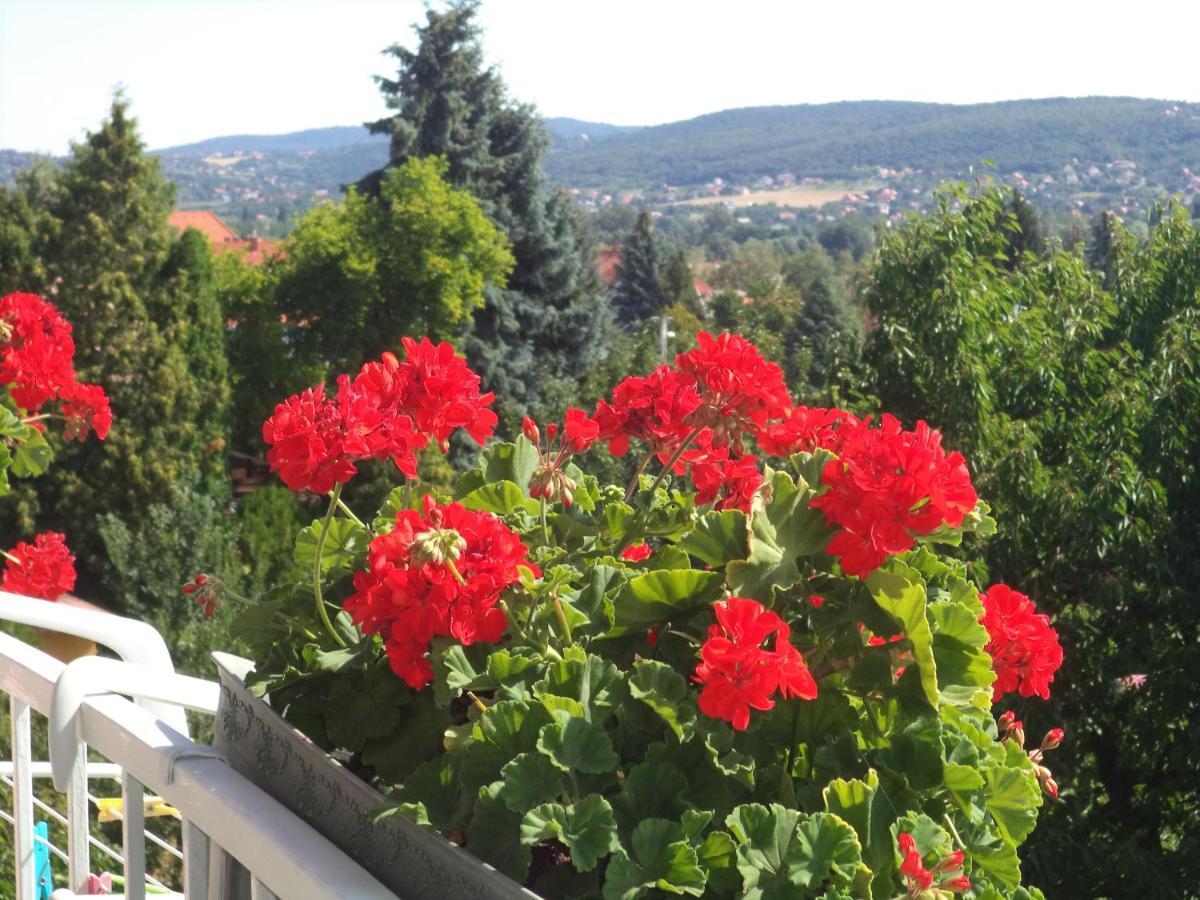 Maria Apartman Hévíz Exterior foto